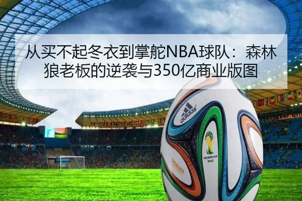 从买不起冬衣到掌舵NBA球队：森林狼老板的逆袭与350亿商业版图（ODSPORTS）